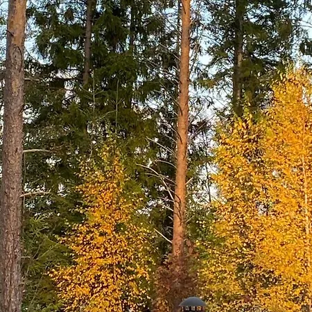 Comfortable Cottage And Sauna On The Shores Of Lake Saimaa, Puumala * Puumala